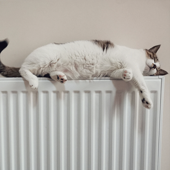 Everything You Need To Know About Balancing A Radiator