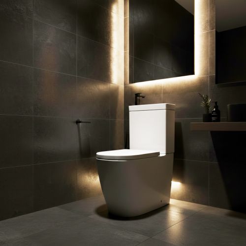 Arc II 2 in 1 Toilet & basin without tap