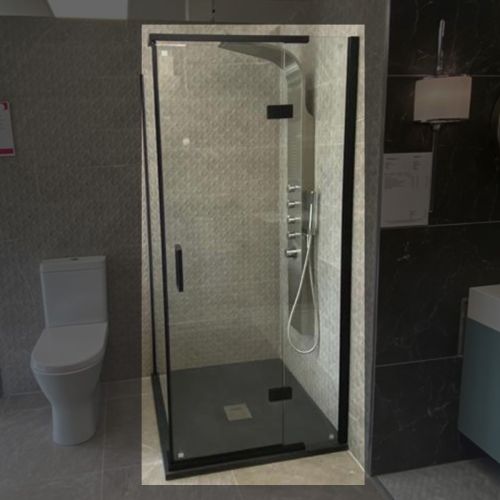 Hinged Shower Door