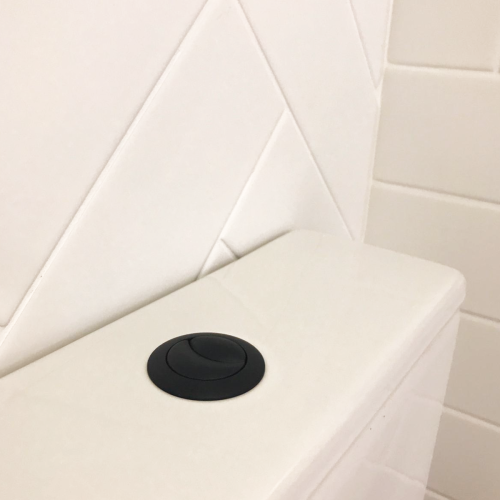 Flush Button