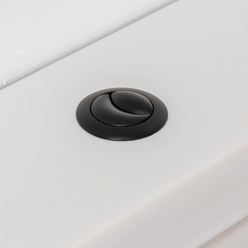Flush Button