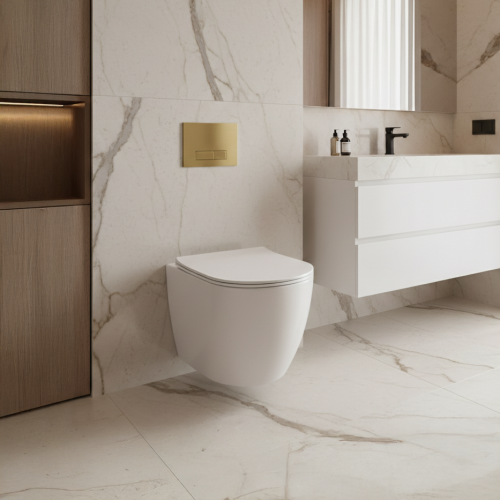 Remo Wall Hung Toilet & SAN85 1.1m Wall Hung WC Frame Deal & Brushed Brass Flush Plate (21453)