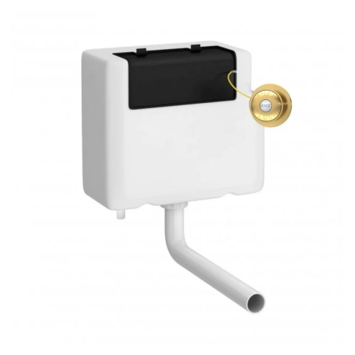 Nuie Universal Access Cistern & Brushed Brass Traditional Flush Plate